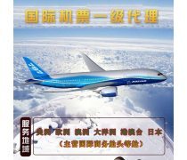 票務(wù)服務(wù)與票務(wù)代理服務(wù) 現(xiàn)代娛樂(lè)與出行體驗(yàn)的橋梁